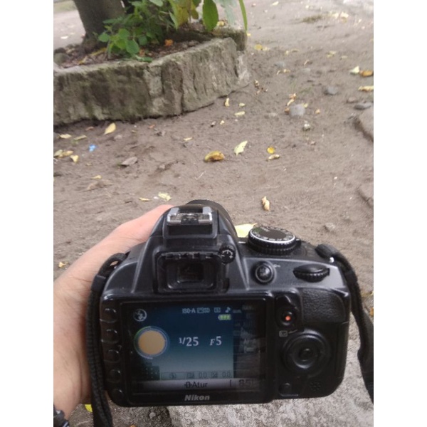 nikon d3100
