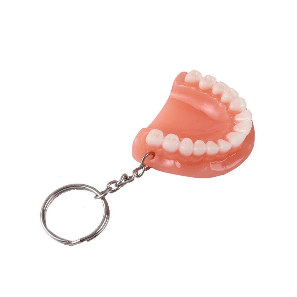 Agustinina Tooth Key Chain Dental Decoration Aksesoris Gigi Rahang Atas Resin Bentuk Gigi Gigi Palsu Key Chain