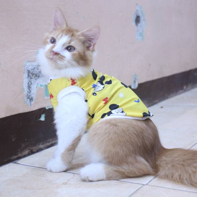 Baju rumahan simple untuk kucing dan anjing motif mickey mouse / baju kucing murah size S M L XL