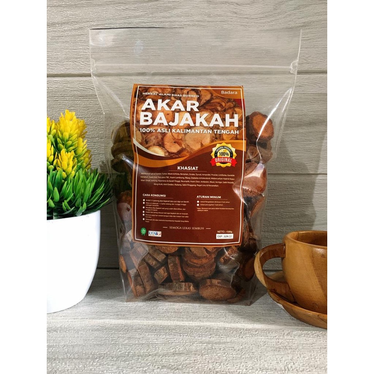 1Kg Akar Bajakah Tampala SUPER (BADARA) Kalimantan Siap Seduh Obat Jantung &amp; Stroke (100% ORIGINAL)