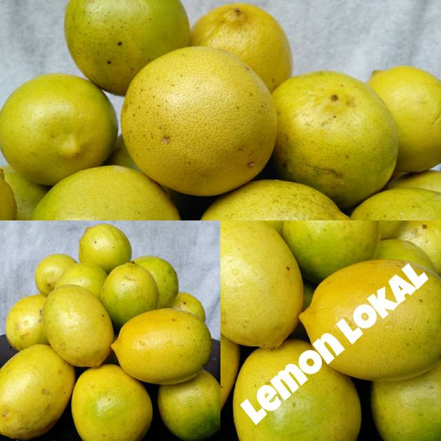 

Lemon Lokal (Lemon Indonesia)