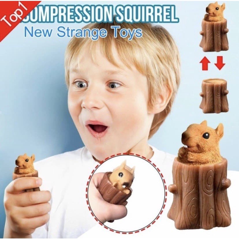 Squishy Animal - Squirrel Binatang - Pop It