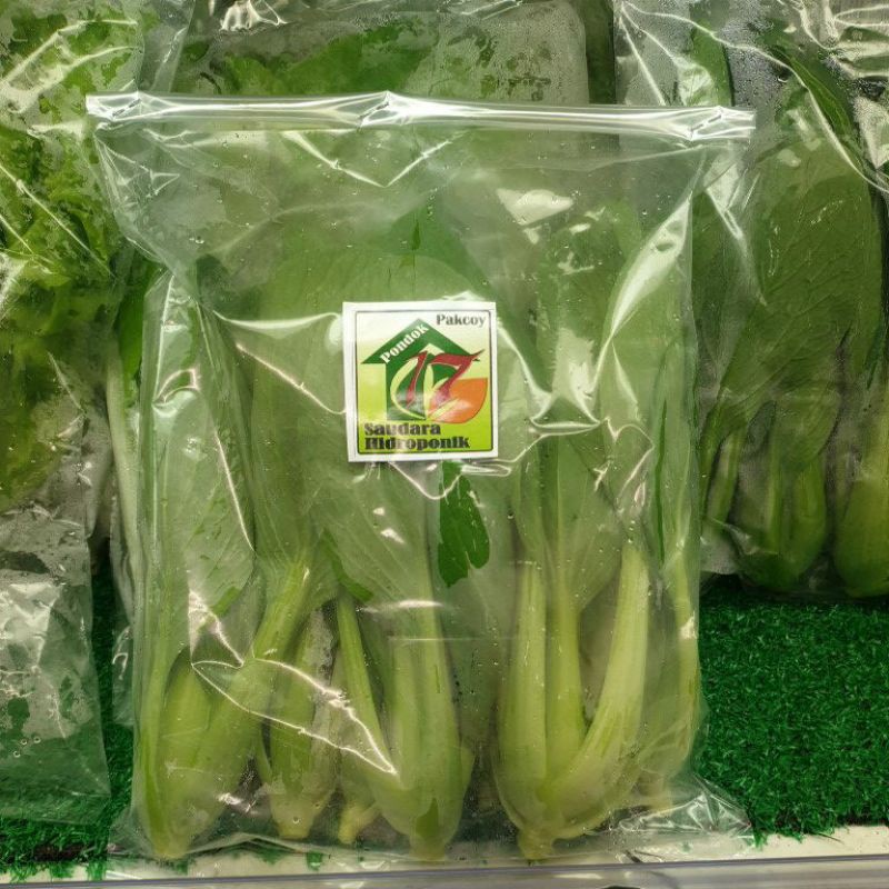 

SAYUR PAKCOY HIDRO PONDOK SAUDARA 150GR