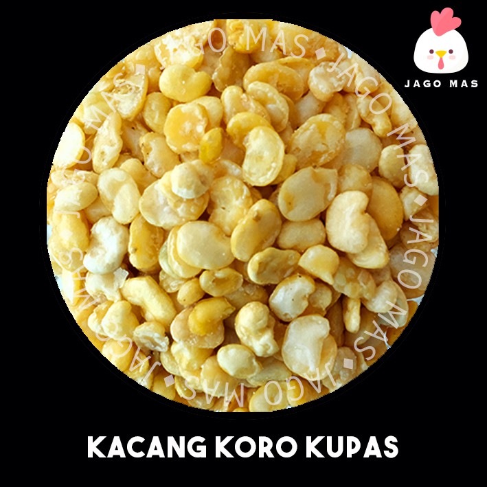 

JAGO MAS Kacang Koro Kupas / Toba Original (Faba Beans) Grosir Kiloan 500 1000 GRAM GR 1 KG