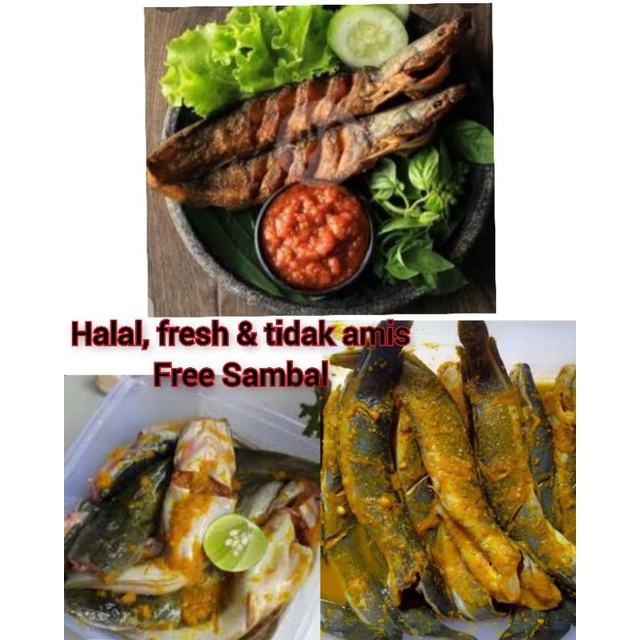 

lele ungkep frozen bumbu kuning - ikan lele frozen siap goreng - frozen food - healty food - ikan goreng