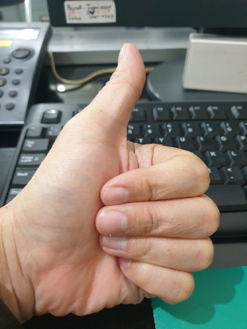 Hewan Anjing Kucing Pasokan Makanan Otomatis Mangkuk Botol Minum Mangkuk Makan