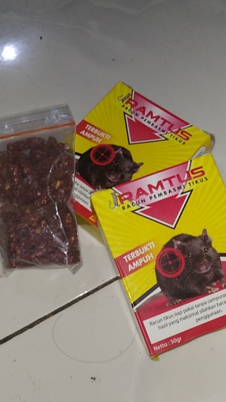 Ramtus Racun Tikus Ampuh Mati Kering Tidak Bau Pembasmi Curut Wirog Mencit Dirumah Di Mobil 2 Pack