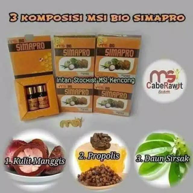 Simapro MSI original