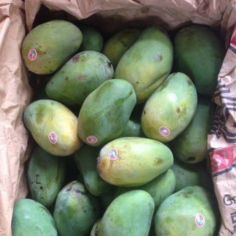 

mangga harum manis