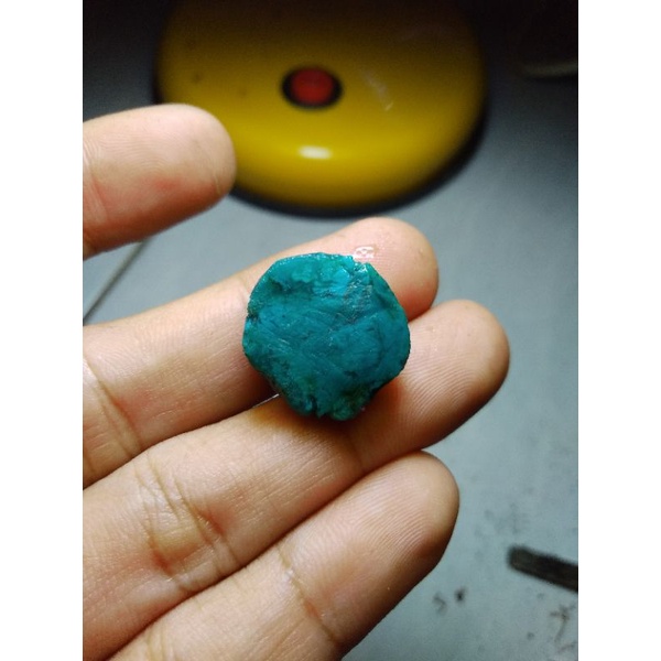 bacan doko biru pola kasar