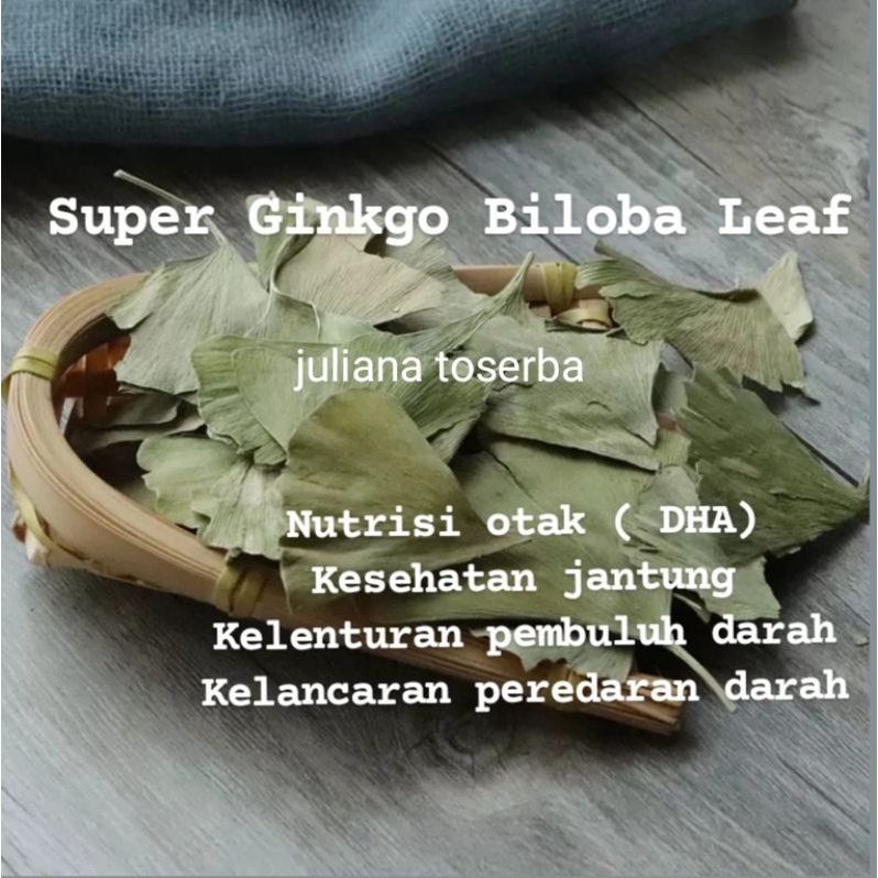 

Teh Folium Ginkgo Biloba Leaf Gingo Giloba Yin Sing Yek 銀杏叶 Daun Ginko 100 gram