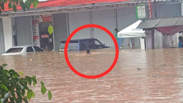 Talenan Set 5 Pcs Pisau Dapur Pisau Roti Pisau Daging Gunting