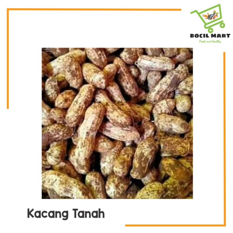 

[BOCIL MART] KACANG TANAH KULIT MENTAH 500GR