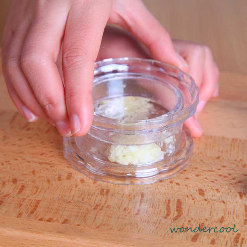 Dapur Putar Bawang Putih Kotak Garlic Mixer Bawang Putih Tekan Bawang Putih Masher-Won