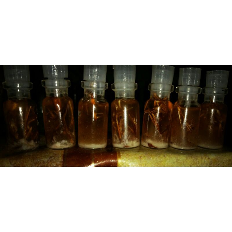

minyakpengasihan