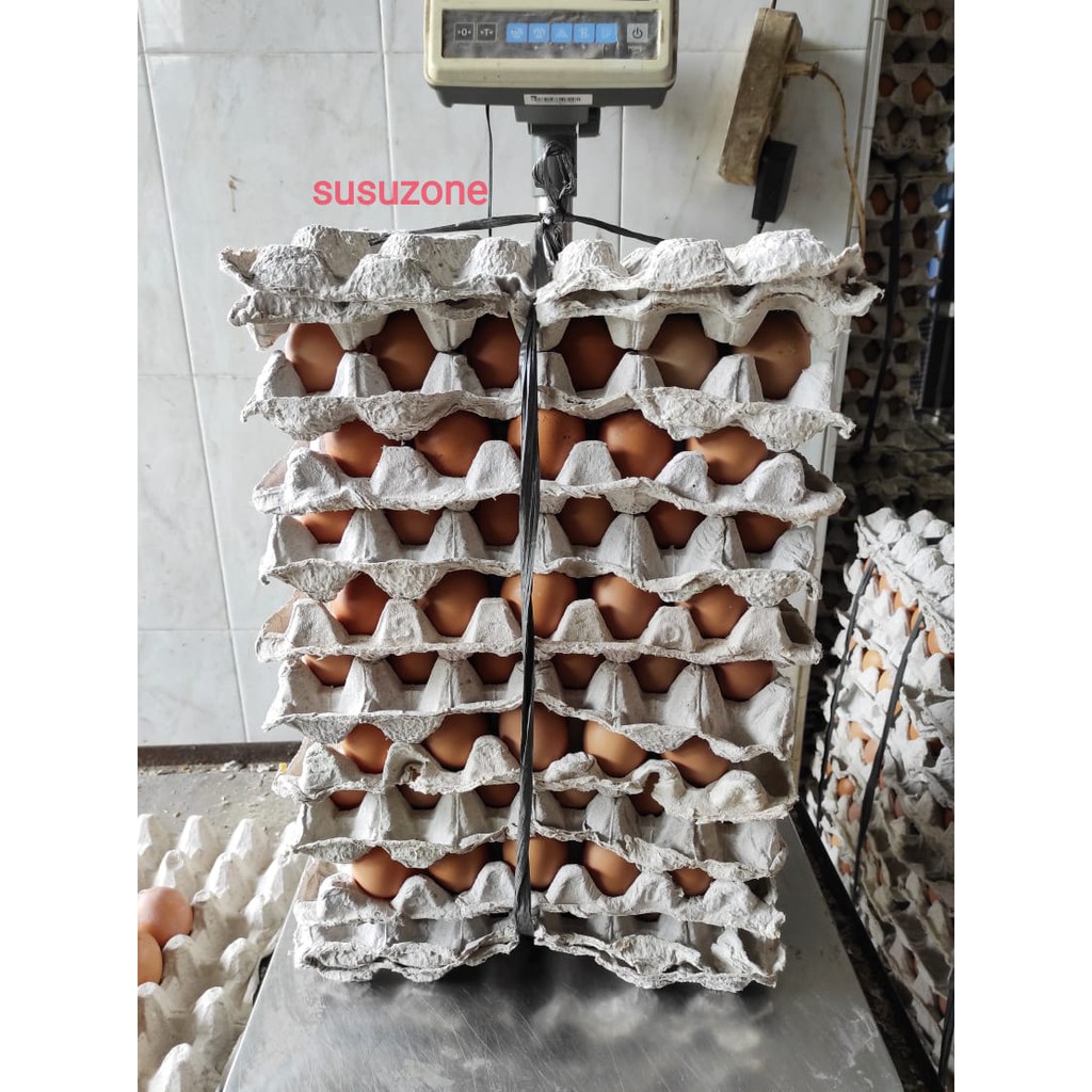 

IO TELUR AYAM NEGERI PERIKAT ISI 15kg HENMART