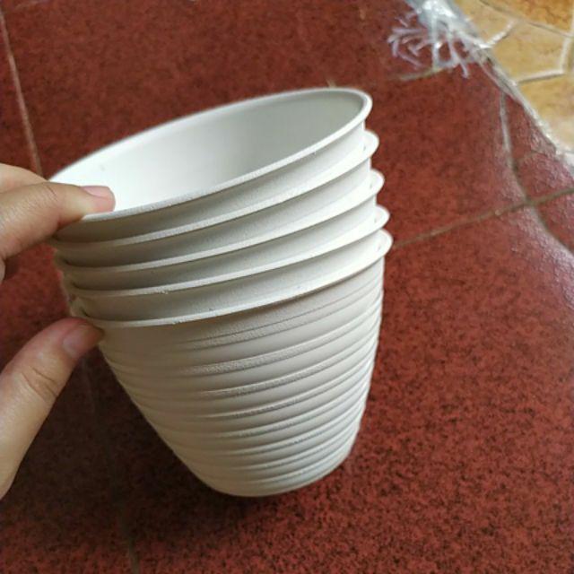 Pot Tawon 12 Cm Untuk Tanaman