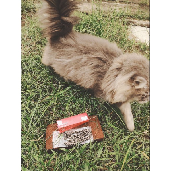 RANTAI MESIN RANTAI KAMPRAT RANTAI KETENG GL SERIES GL PRO CDI