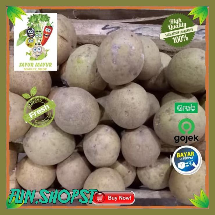 

SAWO MANIS SUPER 1KG / BUAH SEGAR / SAWO JUMBO