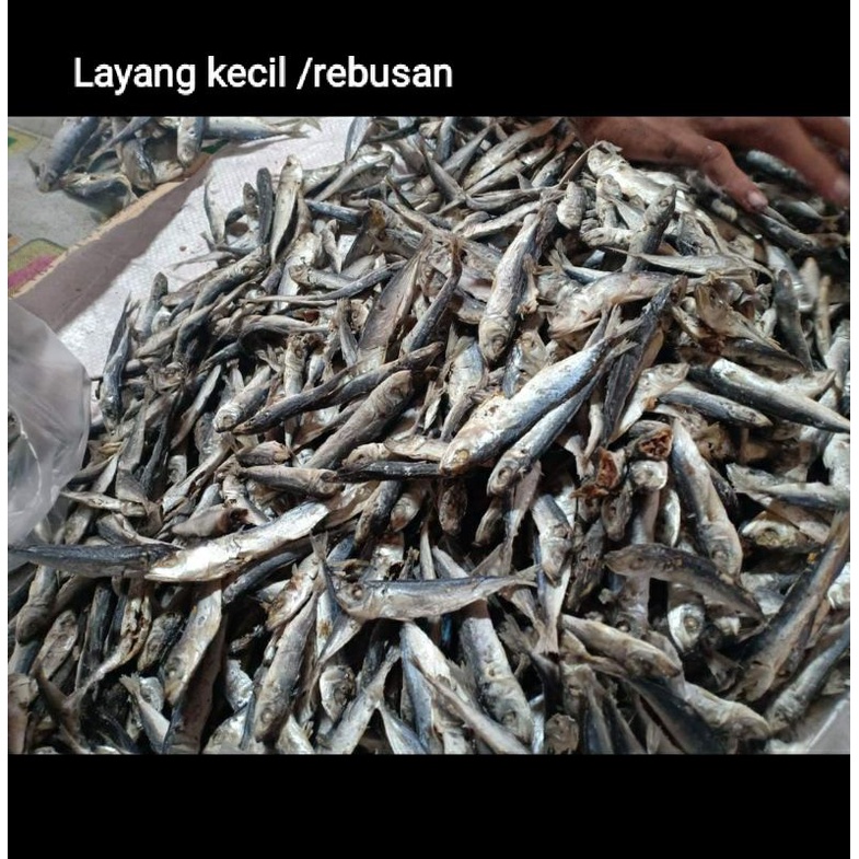 

ikan asin