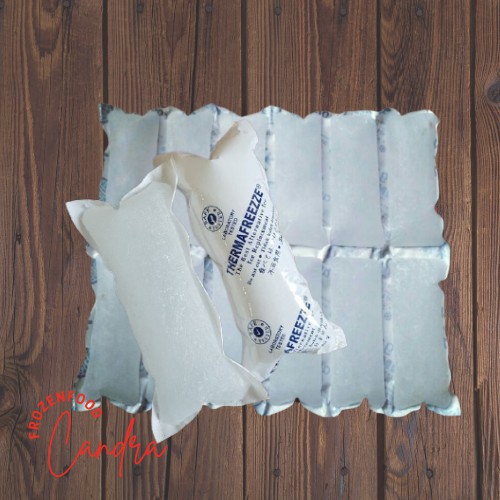 

Packing Extra Ice Gell Frozen Food