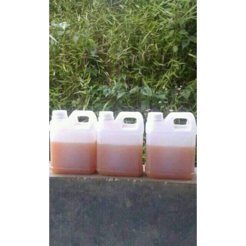 

madu Odeng (apis dorsata,madu hutan)