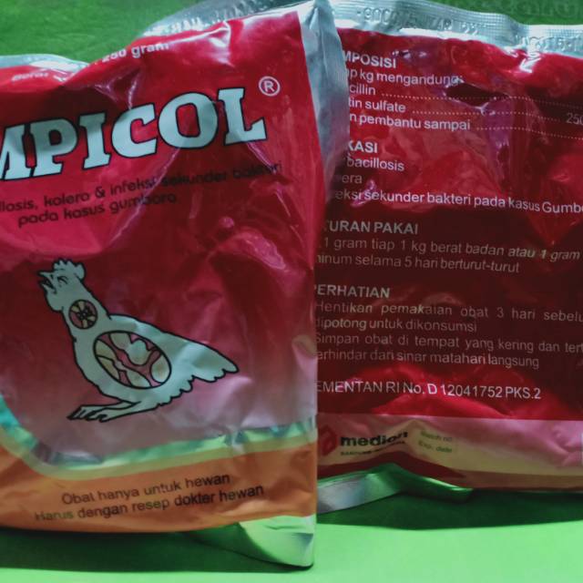 ampicol 250gr obat ayam burung sakit infeksi mata berair bengkak kolera gumboro radang