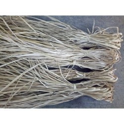 Tali Puar Ikat Bakcang / Tali Bambu Serbaguna / Tali Ikat Bacang / Tali Nyukcung Asli Bangka