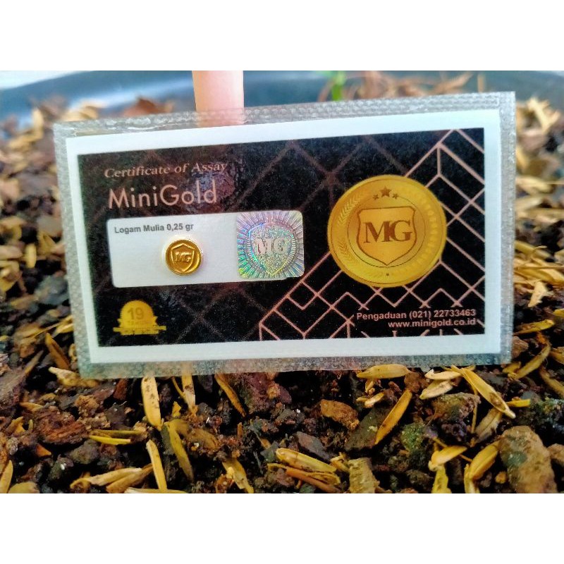 MiniGold 0,25