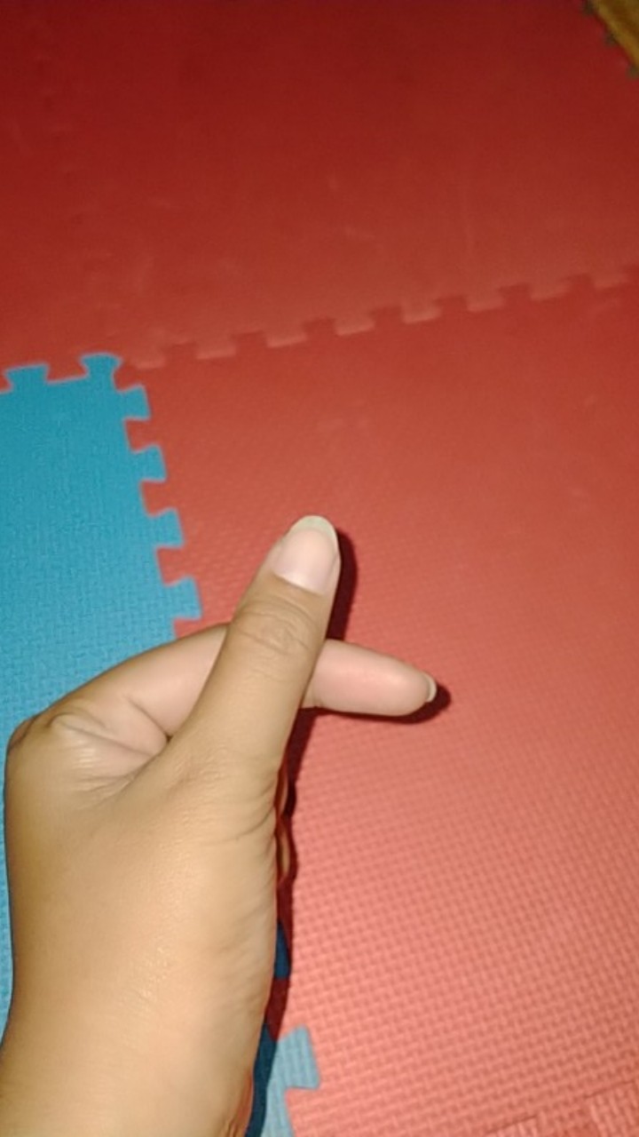 Carset (bantal Mobil ) Bordir