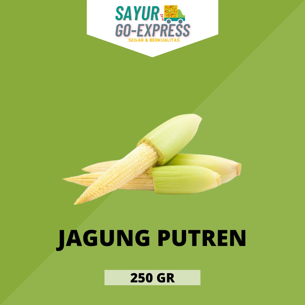 

jagung muda putren segar