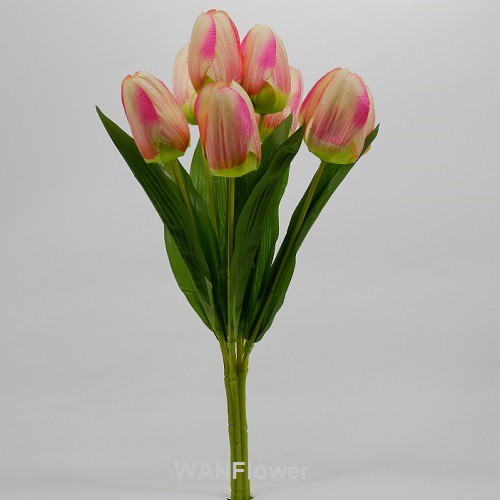 WANFLOWER Bunga Tulip T38 X9 * PUTIH mix PINK