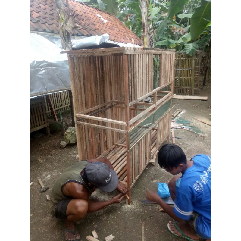 Ukuran Kandang Ayam Bangkok Desain Kandang Ayam Bambu Harga Dan Cara Membuatnya Ukuran Yang Benar Akan Mencegah Ayam Stres Shower Stairs