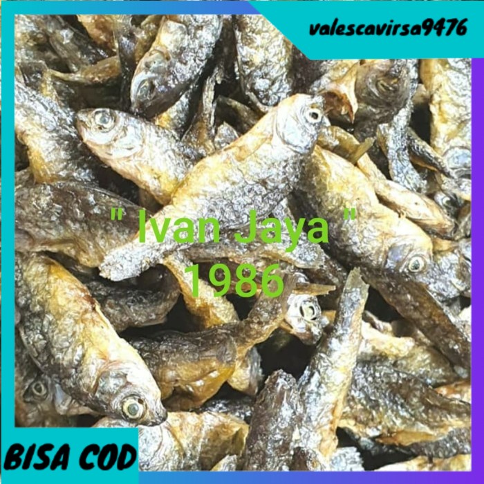 

⭐BISA COD⭐ Ikan Danau singkarak atau bilih kecil 250 gram