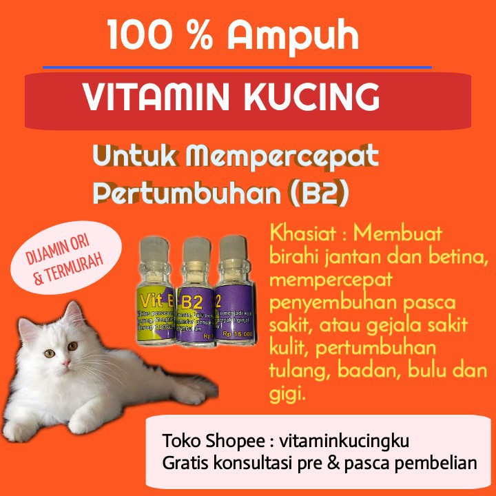 Jual Vitamin Kucing B2 Vitamin Kucing Sakit Mata Vitamin Kucing Bulu ...