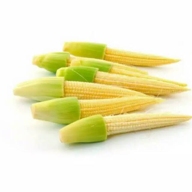 

Baby Corn/Tongkol jagung Fresh 500gr