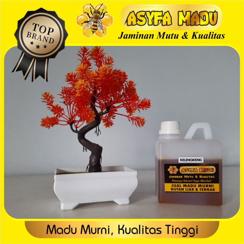 

madu murni kelengkeng Apis Mellifera kemasan ½ kg