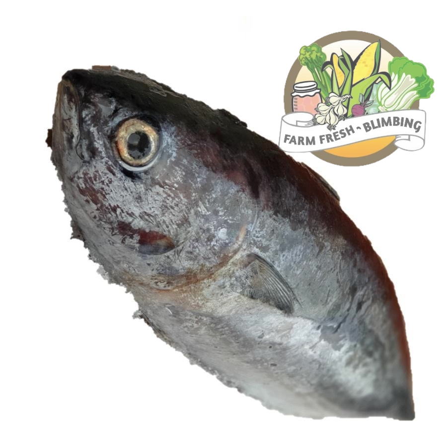 

Ikan Tongkol 400-500gr Farm Fresh