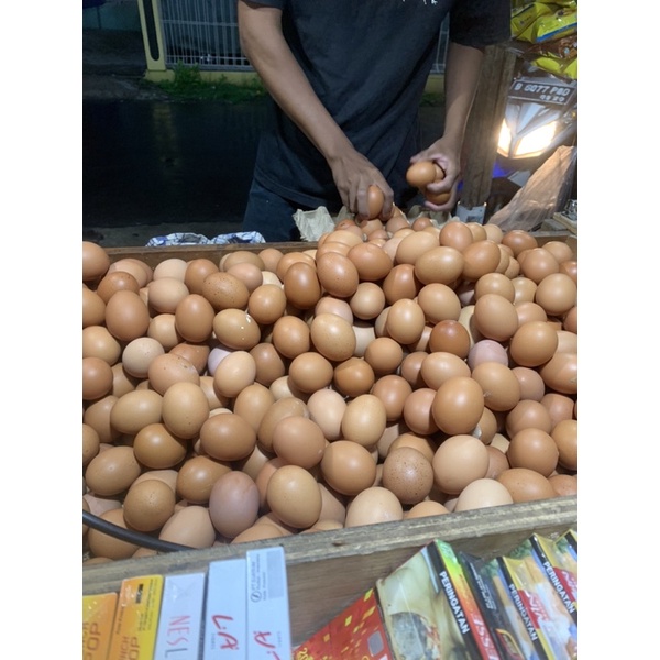 

Telur ayam negri fresh