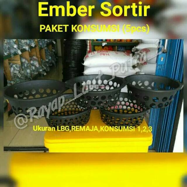 EMBER SORTIR LELE PAKE KONSUMSI (ISI 5 EMBER)
