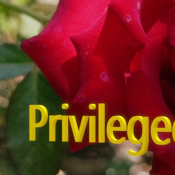 privileged_shop