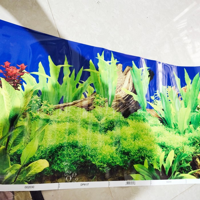 Background Aquarium / Gambar Latar Aquarium 30cm