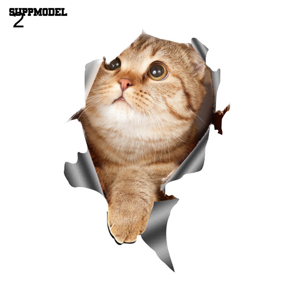 Stiker 3D Motif Kucing Mengintip