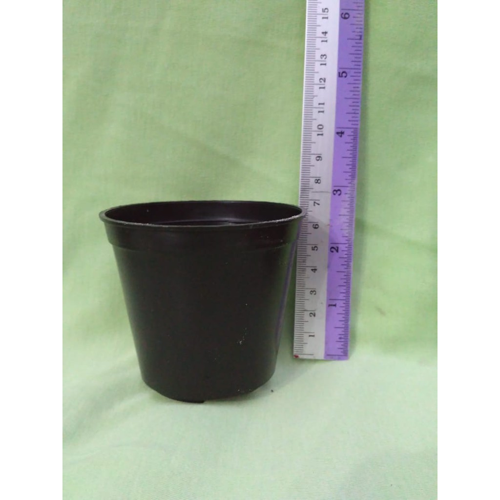 Pot Plastik Hitam 8 cm