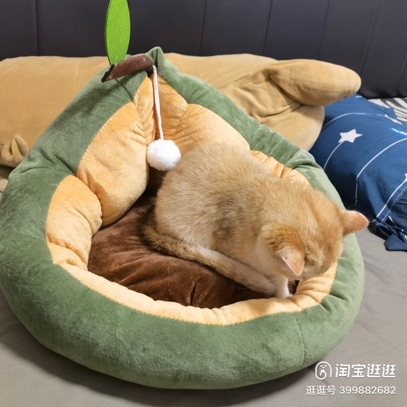 Avocado Bed Matrass Ranjang Lucu  for Cat Dog Pet