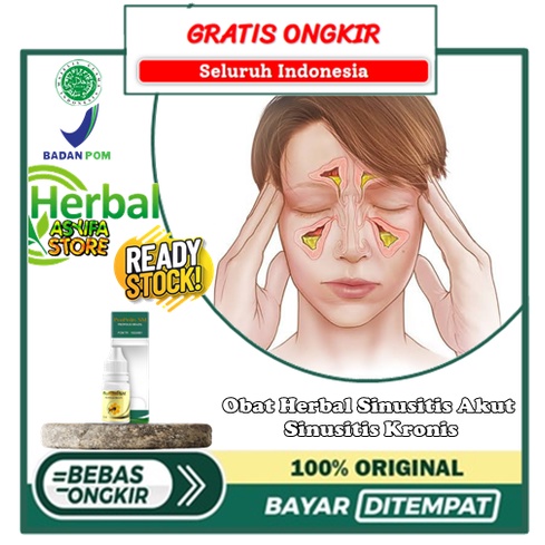 Obat Penghilang Radang Sinusitis, Obat Tetes Sinusitis, Obat Herbal Sinusitis Akut - Sinusitis Kroni