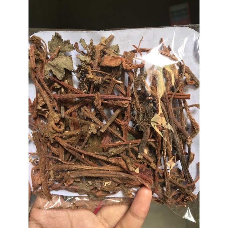 (BATANG&AKAR) BENALU BATU ASLI SULAWESI TENGAH||MOROWALI UTARA