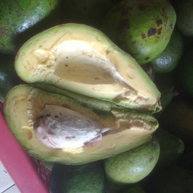 

Alpukat mentega