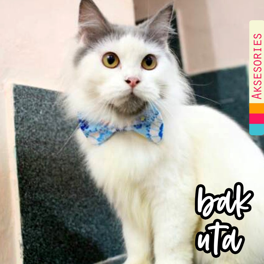 Dasi Kucing lucu imut / aksesoris lucu untuk kucing anjing / baju kucing size kitten adult