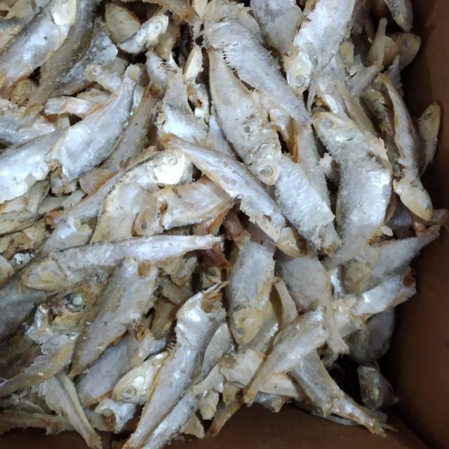 

Ikan sampah bilis khas medan 1kg